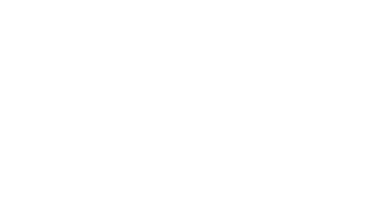 Unidos en Acción